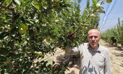 Rekor üretime dolandırıcı uyarısı