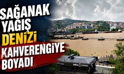 Sağanak yağış denizi kahverengiye boyadı