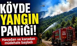 Ormanlık alanda çıkan yangına havadan ve karadan müdahale