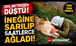 Uçurumdan düşerek telef olan ineğine sarılıp saatlerce ağladı