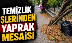 Zonguldak Sokaklarında Sonbahar Manzarası: Ekiplerin "Yaprak" Mesaisi Başladı