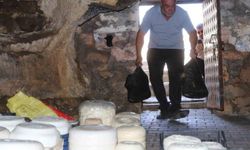 Tuluk peynirleri mağaraya dinlenmeye bırakıldı