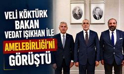 Veli Köktürk Bakan Vedat Işıkhan ile Amelebirliği’ni görüştü