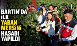 Bartın'da ilk yaban mersini hasadı yapıldı