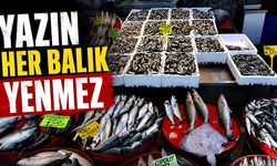 Yazın her balık yenmez
