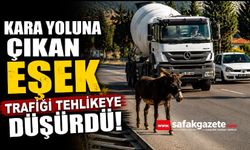 Kara yoluna çıkan eşek trafiği tehlikeye düşürdü