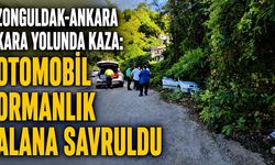 Zonguldak-Ankara kara yolunda kaza: Otomobil ormanlık alana savruldu