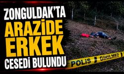 Zonguldak'ta arazide erkek cesedi bulundu
