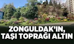 Zonguldak’ın taşı toprağı altın
