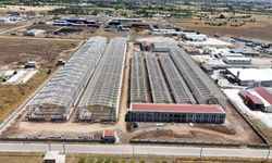 100 milyon dolarlık dev sanayi yatırımı
