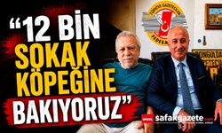 “12 bin sokak köpeğine bakıyoruz”