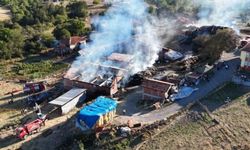 Kastamonu'da 14 büyükbaş hayvanın telef olduğu yangın söndürüldü