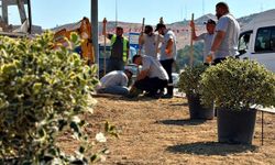200 ağaç ve süs bitkisi toprakla buluşuyor