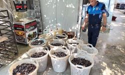 200 kilo bozuk midye dolması ele geçirildi