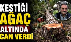 Üzerine ağaç devrilen vatandaş hayatını kaybetti