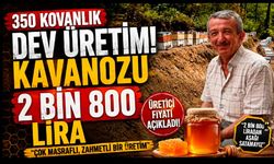350 kovanı var