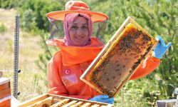 5 kovanla üretime başlayan kadın arıcı, azmiyle kovan sayısını 40 çıkardı