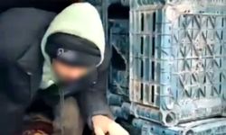 7 düzensiz göçmen yakalandı