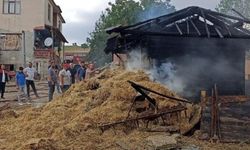 Ambarda yangın: 7 ton buğday küle döndü