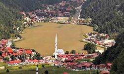 Trabzon’da Uzungöl’ün rengi değişti: Turkuazdan kahverengiye