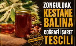 Zonguldak kestane balına coğrafi işaret tescili