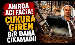 Ahırda Acı Facia! Çukura Giren Bir Daha Çıkamadı!