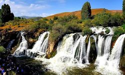 Ailesiyle Pikniğe Gelmişti: 4 Yaşındaki Çocuktan Acı Haber