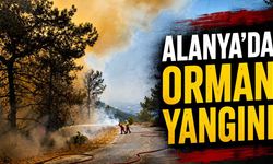 Alanya'da orman yangını