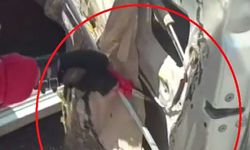 Aracına binerken fark ettiği yılanı itfaiye ekipleri yakaladı