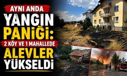 Aynı anda yangın paniği: 2 köy ve 1 mahallede alevler yükseldi