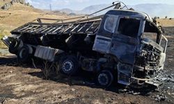 Balatalardan çıkan alevler kamyonu ve çevresindeki araziyi yaktı
