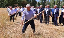 Binali Yıldırım Harman Şenliği'nde tırpan salladı