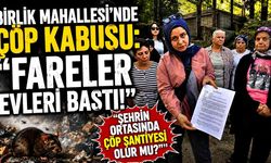 Birlik Mahallesi Sakinleri İsyan Etti: "Çöp Kokusu ve Sineklerden Kapımızın Önünde Oturamıyoruz!"