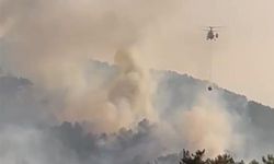 Bolu'daki orman yangını kontrol altına alındı; Soğutma çalışmaları sürüyor