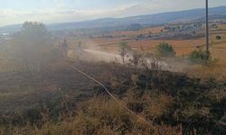 Bolu’da anız yangını ağaçlık alana sıçramadan söndürüldü