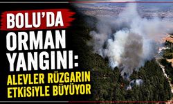 Bolu’da orman yangını: Alevler rüzgarın etkisiyle büyüyor
