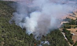 Bolu'da orman yangını başladı