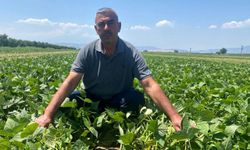 Bu köyde çiftçi sadece tarlasını hazırlıyor, gerisini kooperatif yapıyor