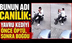 Bunun adı canilik: Yavru kediyi önce öptü, sonra boğdu