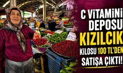 C Vitamini Deposu Kızılcık Kilosu 100 TL’den Satışa Çıktı!