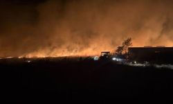 Çanakkale’de otluk alanda çıkan yangın söndürüldü