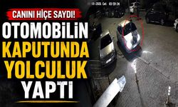 Canını hiçe saydı! Otomobilin kaputunda yolculuk yaptı