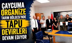 Çaycuma Organize Tarım Bölgesi'nde tapu devirleri devam ediyor