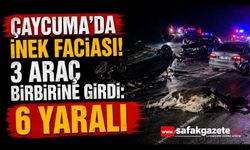 Yola çıkan ineğe çarpan araç takla attı: 6 yaralı