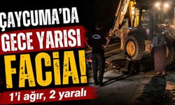 Otomobil karayoluna çıkan 3 mandaya çarptı: 1'i ağır, 2 yaralı