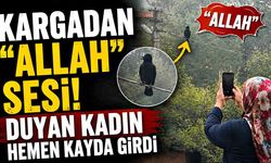 Karganın "Allah" diye ses çıkardığı anlar kameraya yansıdı