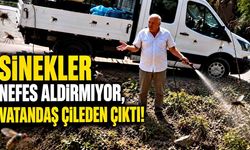 Sinekler Nefes Aldırmıyor, Vatandaş Çileden Çıktı!