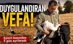 Duygulandıran vefa! Elektrik akımına kapılan eşinin başından 5 gün ayrılmadı