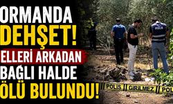 Ağaçlık Alanda Korkunç Manzara! 25 Yaşındaki Genç Ölü Bulundu