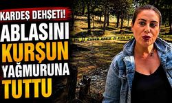 Ablasını alacak-verecek yüzünden öldürdü
